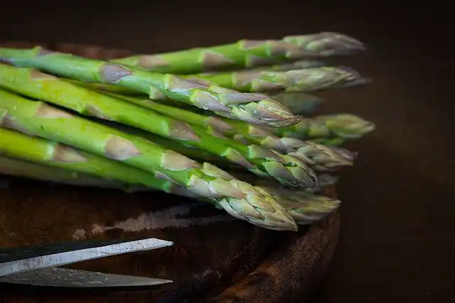 asparagus image