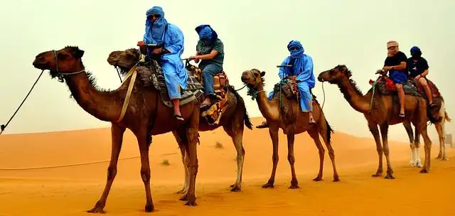 dromedary-rider image