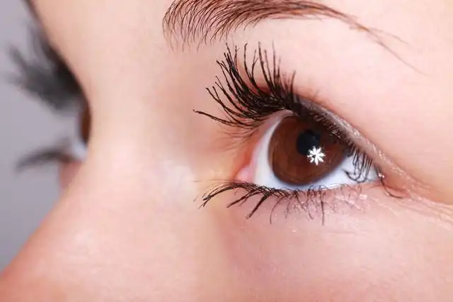 eyebrows-and-eyelashes image