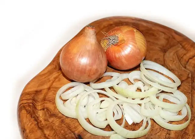 onion image