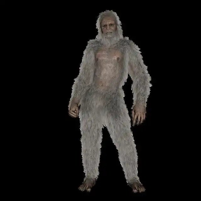 sasquatch image